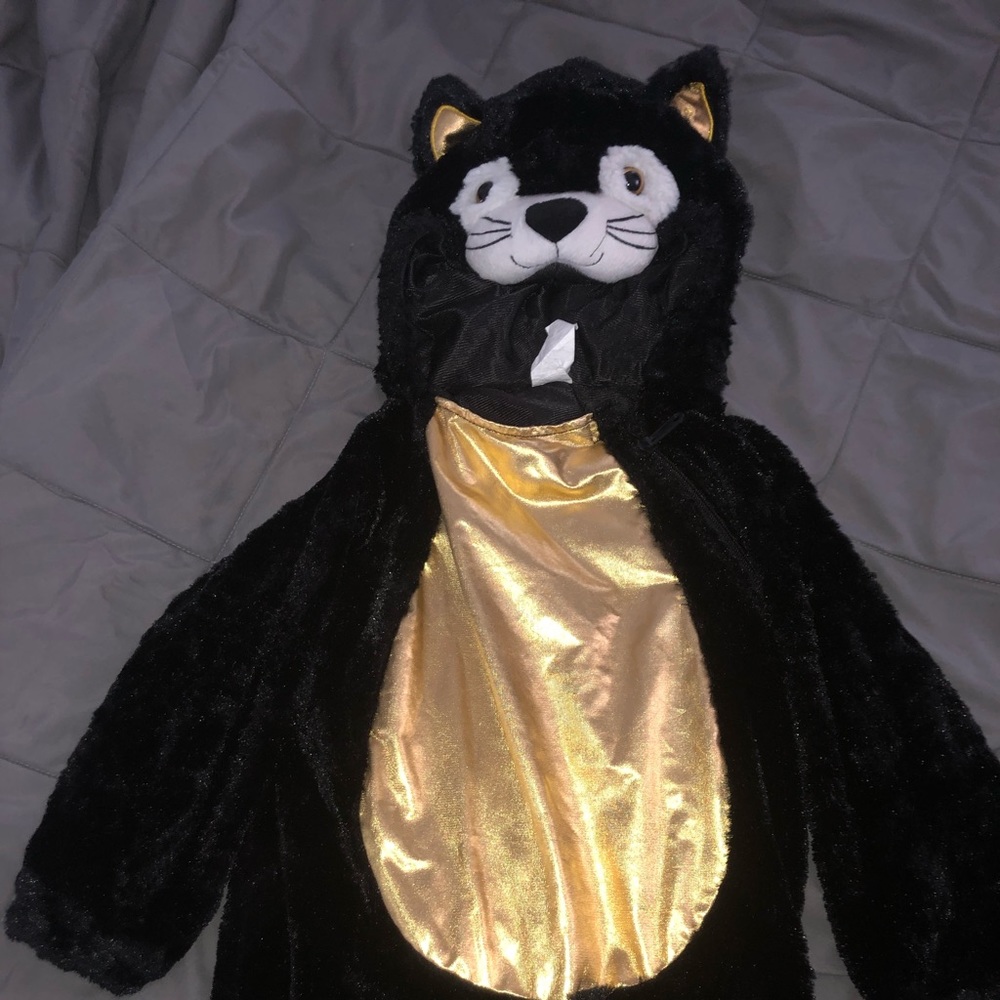 Black cat costume